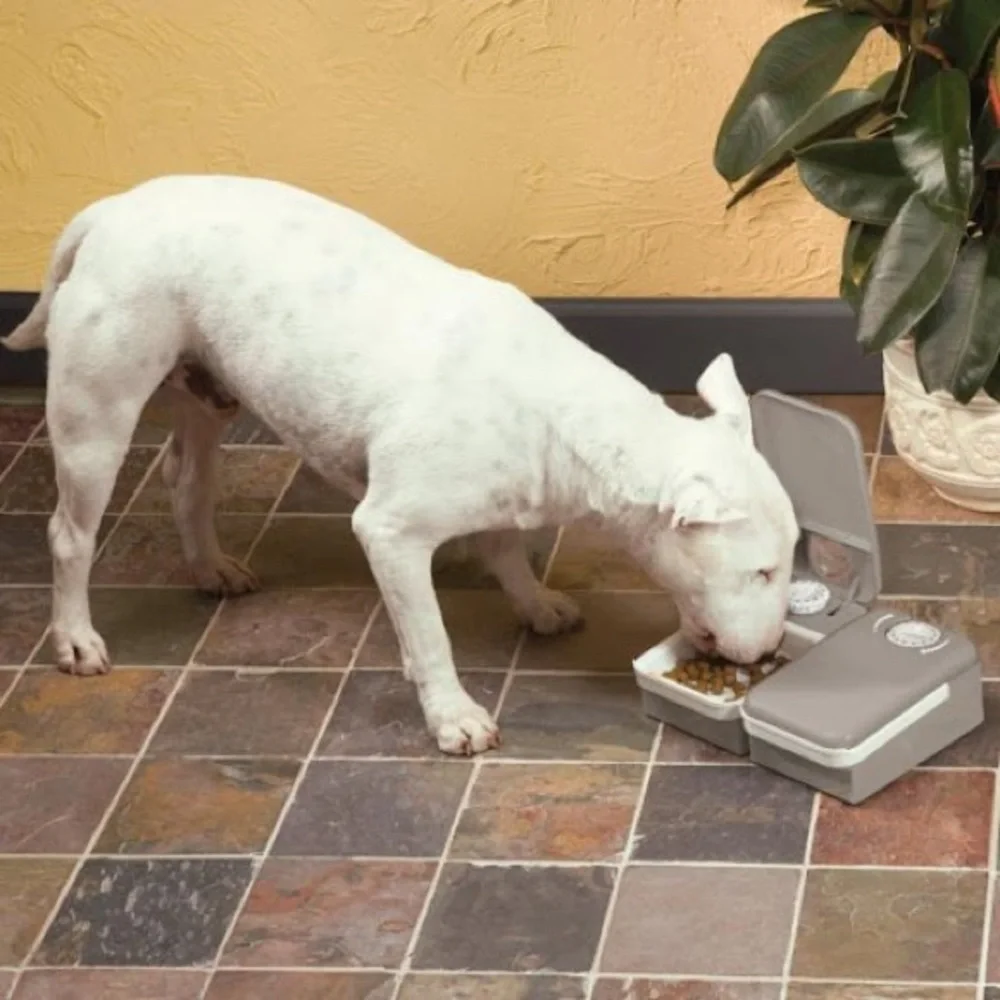 PetSafe 2 Meal Automatic Pet Feeder
